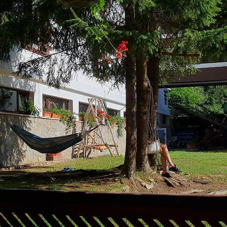 Randunica Hotel Văliug Eksteriør billede