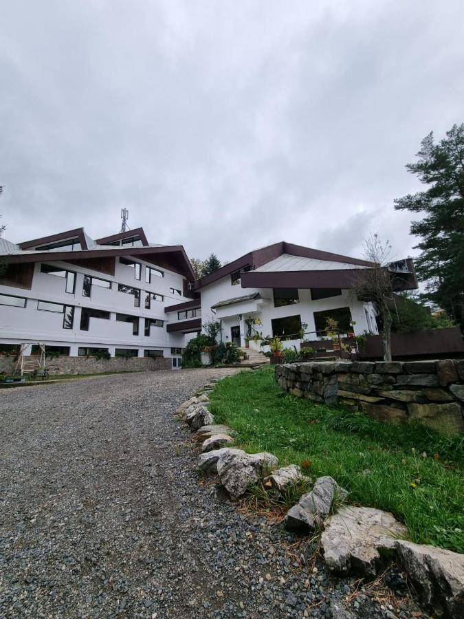 Randunica Hotel Văliug Eksteriør billede