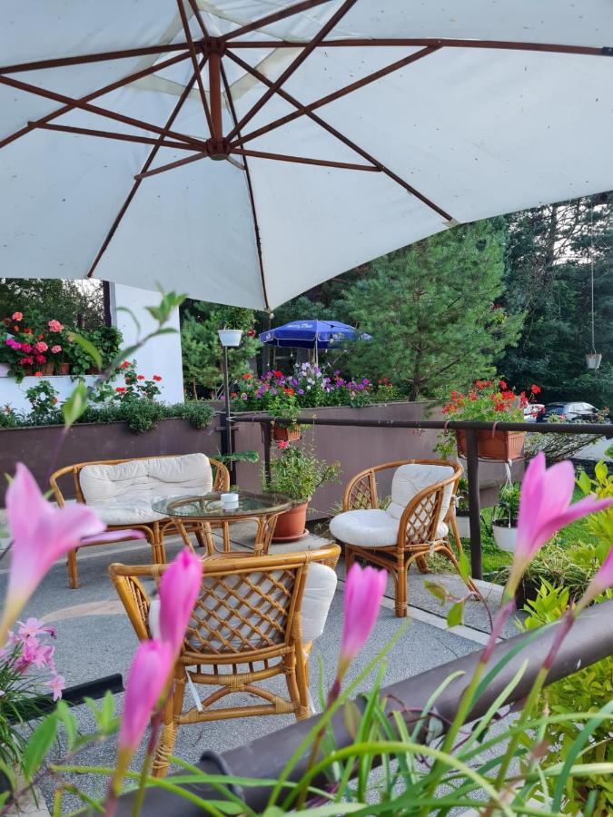 Randunica Hotel Văliug Eksteriør billede