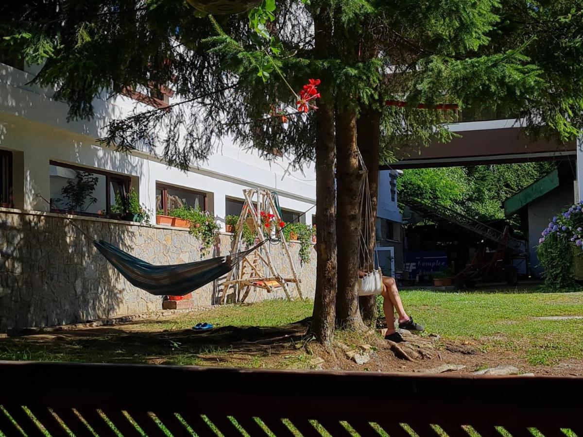 Randunica Hotel Văliug Eksteriør billede