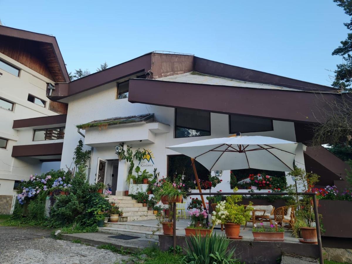 Randunica Hotel Văliug Eksteriør billede