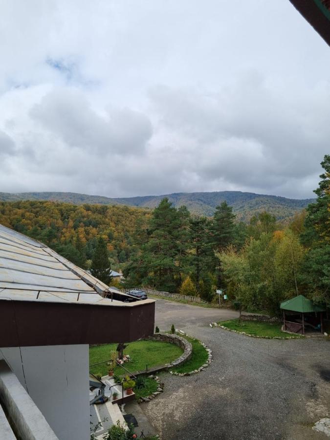 Randunica Hotel Văliug Eksteriør billede